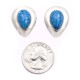 Drop .925 Starling Silver Certified Authentic Handmade Navajo Native American Lapis Denim Earrings  18315-6