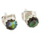 Certified Authentic Navajo .925 Sterling Silver Natural Abalone Native American Stud Earrings 27104-9