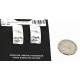 Handmade Feather Mountain Certified Authentic Navajo .925 Sterling Silver Stud Native American Earrings 17136-3