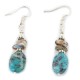 Certified Authentic .925 Sterling Silver Hooks Dangle Natural Turquoise Abalone Native American Earrings 18137-5