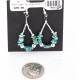 Certified Authentic Navajo .925 Sterling Silver Hooks Natural Turquoise Native American Earrings 371064132099