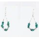Certified Authentic Navajo .925 Sterling Silver Hooks Natural Turquoise Native American Earrings 390830067957