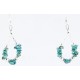 Certified Authentic Navajo .925 Sterling Silver Hooks and Turquoise Native American Earrings 371041109620 Certified Authentic Navajo .925 Sterling Silver Hooks and Turquoise Native American Earrings 371041109620