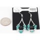 Certified Authentic Navajo .925 Sterling Silver Hooks and Turquoise Native American Earrings 371041109620