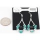 Certified Authentic Navajo .925 Sterling Silver Hooks and Turquoise Native American Earrings 371041109620 Certified Authentic Navajo .925 Sterling Silver Hooks and Turquoise Native American Earrings 371041109620