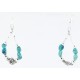 Certified Authentic Navajo .925 Sterling Silver Hooks Natural Turquoise Native American Earrings 390822642110