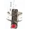 .925 Sterling Silver and 12kt Gold Filled Handmade ROSE ARROW Certified Authentic Navajo CORAL Native American Ring  371014416628