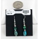 Navajo .925 Hook Turquoise Native American Earrings 18056