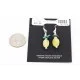 Certified Authentic Navajo .925 Sterling Silver Hooks Natural Turquoise AGATE Native American Earrings 371017390376 Certified Authentic Navajo .925 Sterling Silver Hooks Natural Turquoise AGATE Native American Earrings 371017390376