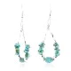Certified Authentic Navajo .925 Sterling Silver Hooks Natural Turquoise Native American Earrings 371064132099