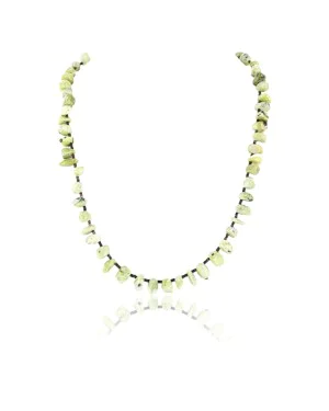 Certified Authentic Navajo .925 Sterling Silver Natural Gaspeite and Traditional Heishi Native American Necklace 390825983413